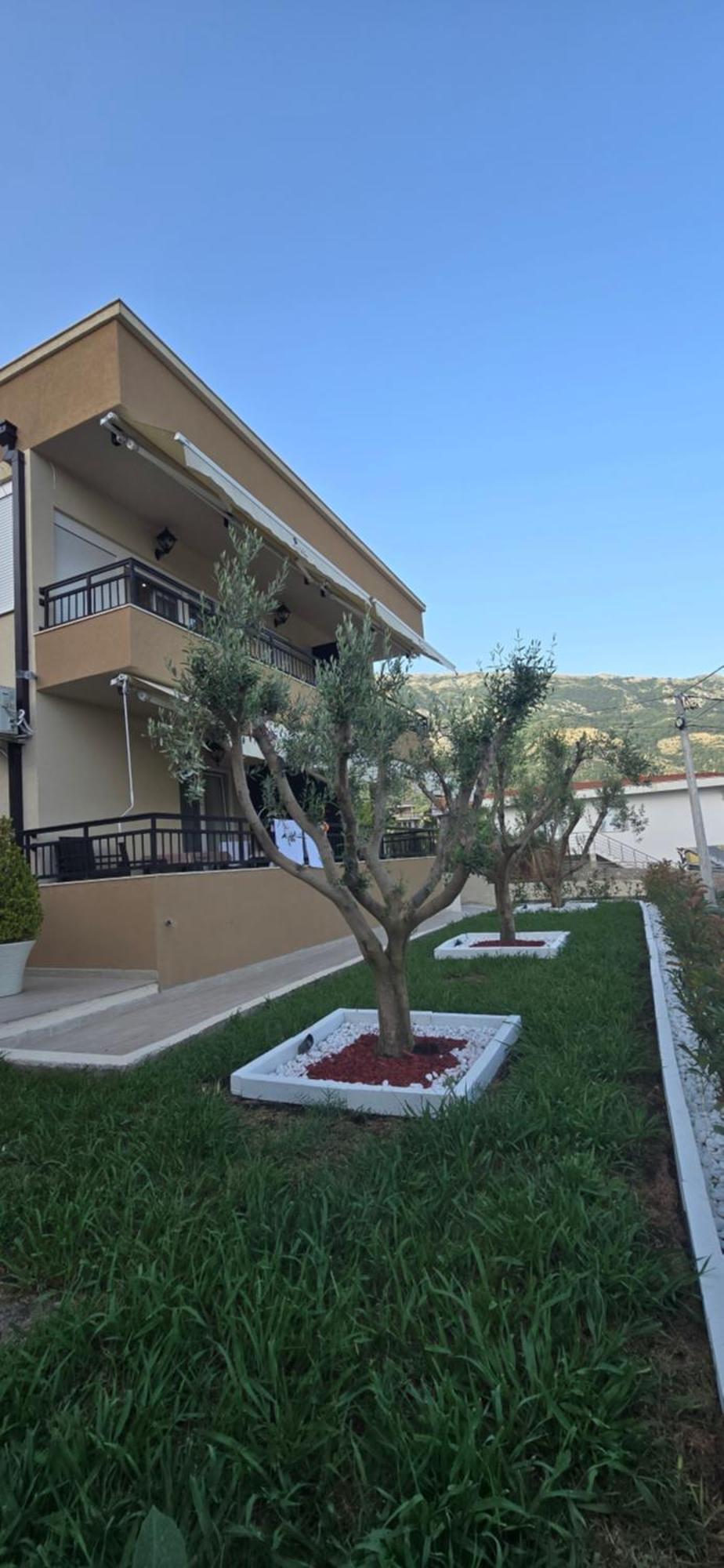 Deluxe Apartmani Vila Pejovic Sutomore Ngoại thất bức ảnh